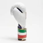 ITALY'47 BOXING GLOVES - Slika 3