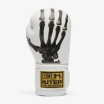 LEONE X IUTER - Slika 2