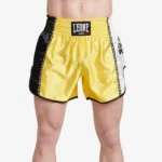 TRAINING THAI SHORTS - Slika 2