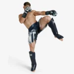 PRIMAL INSTINCT MMA SHORTS - Slika 6